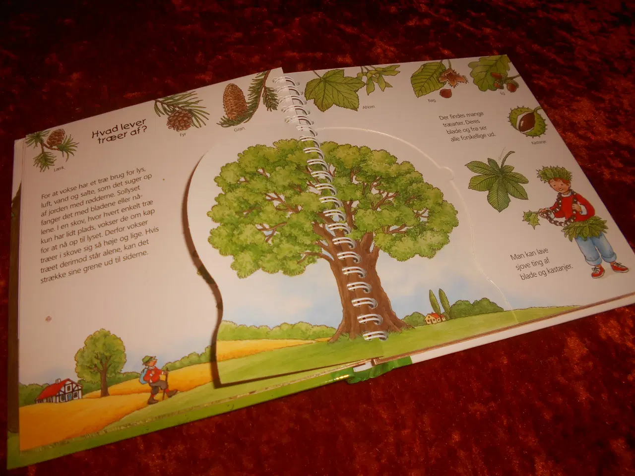 Billede 2 - I skoven, Angela Weinhold