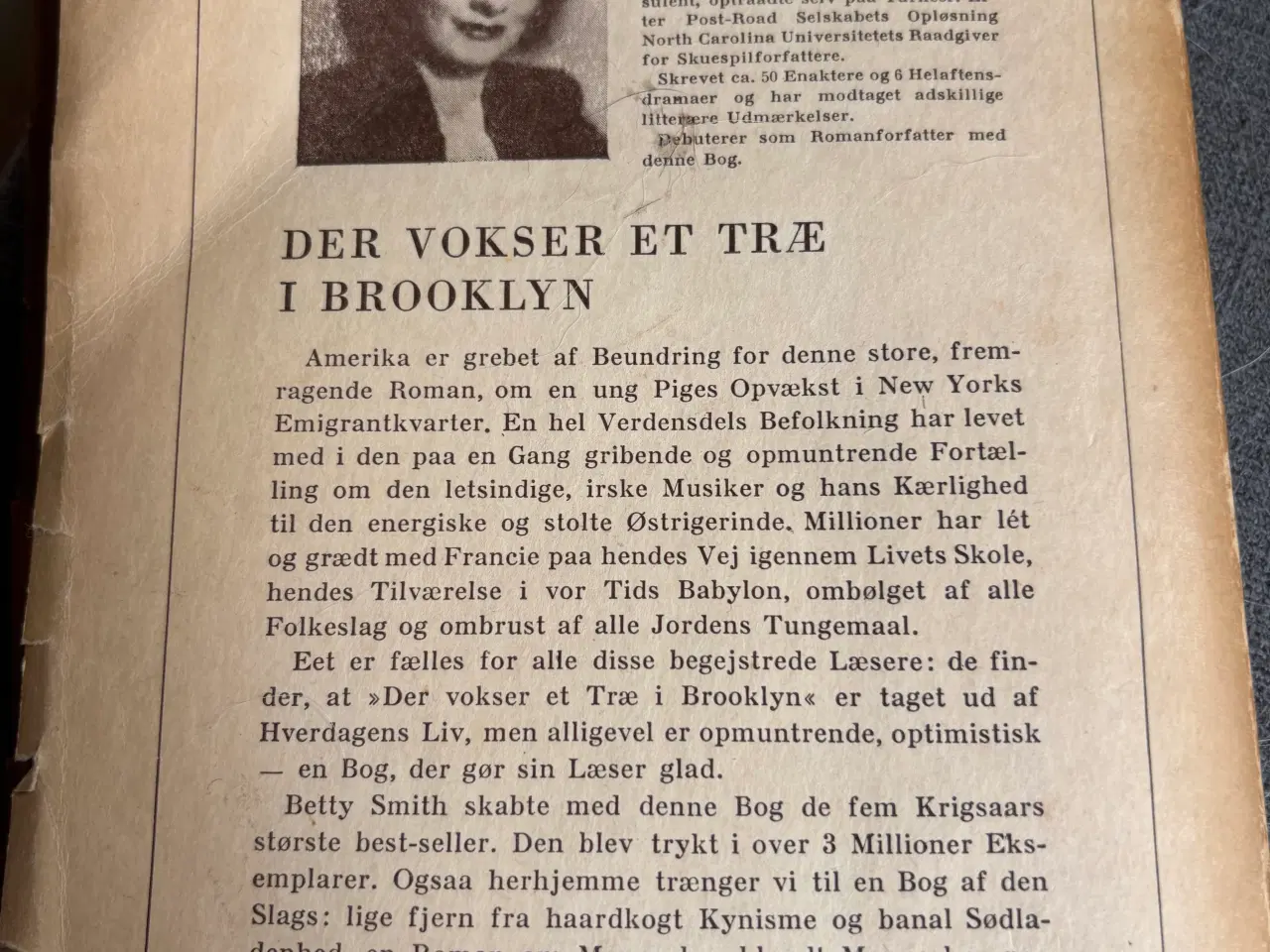 Billede 2 - Der vokser et træ i Brooklyn 