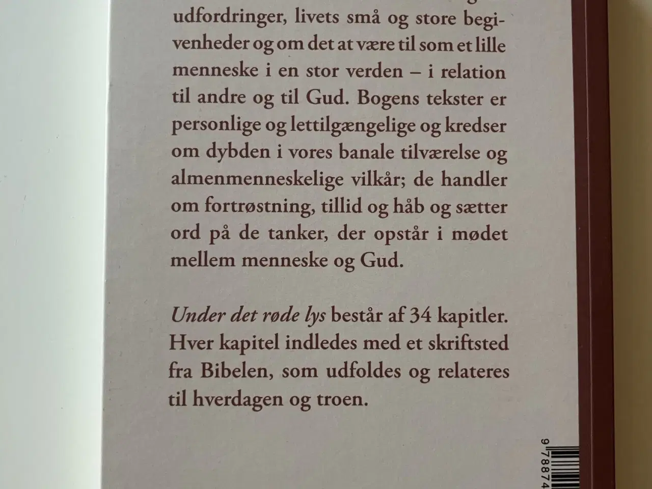 Billede 2 - Under det røde lys. Af Stine Munch