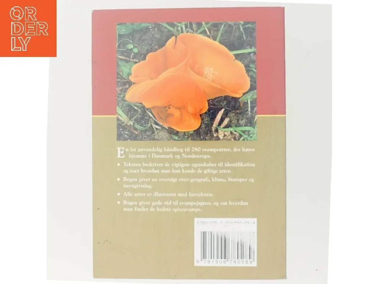 Billede 3 - En naturhåndbog til Svampe i Danmark & Nordeuropa af Josephine Bacon (Bog)