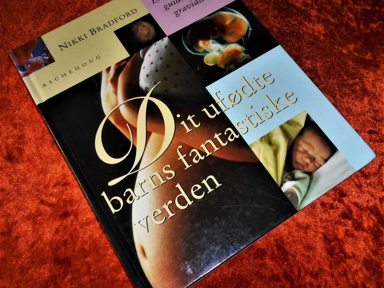 Billede 1 - Dit ufødte barns fantastiske verden, N. Bradford
