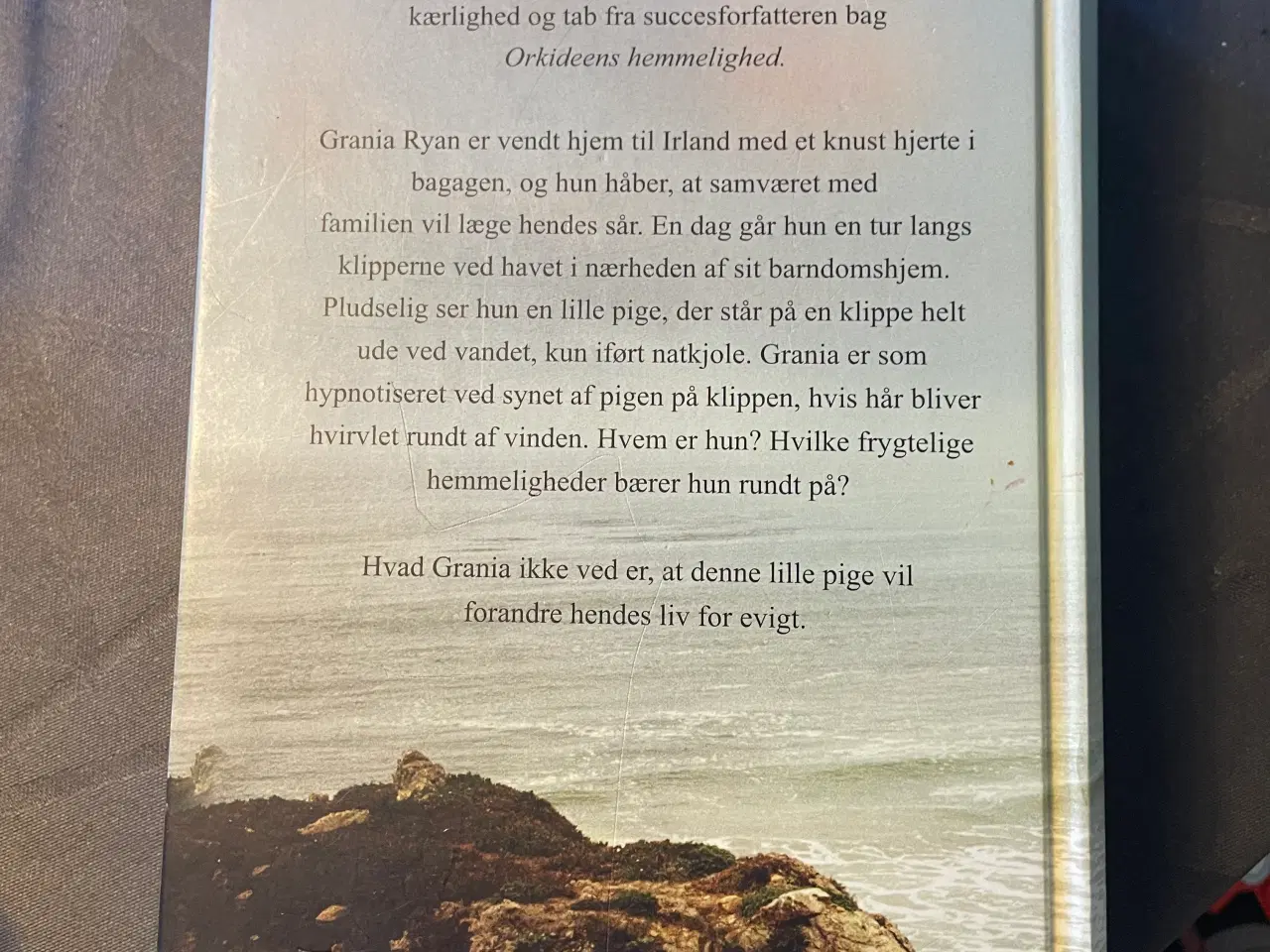 Billede 6 - Lucinda Riley se tekst