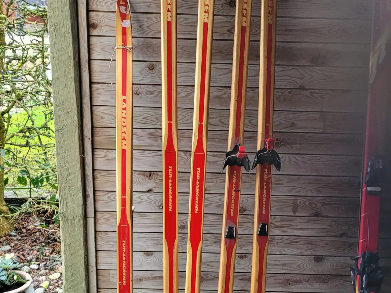 Billede 6 - Ski. Diverse ski 