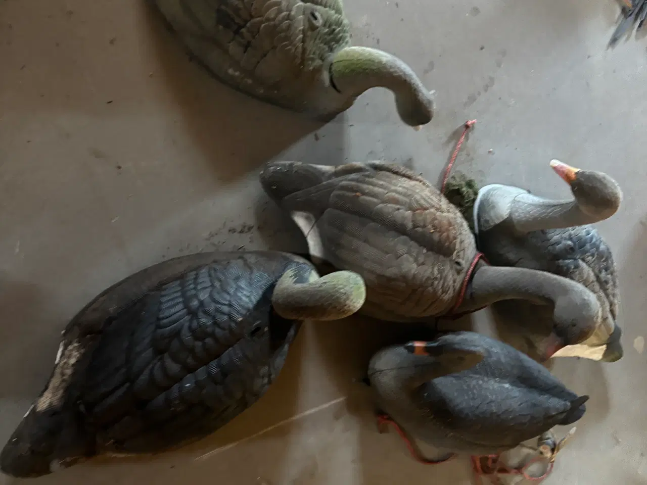 Billede 4 - Jagt skydepram og lokker. 