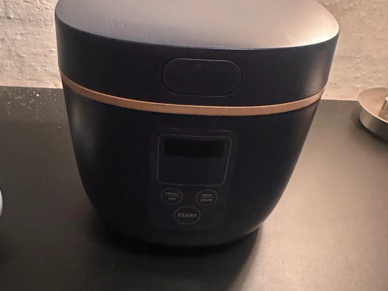 Billede 2 - Konka riskoger