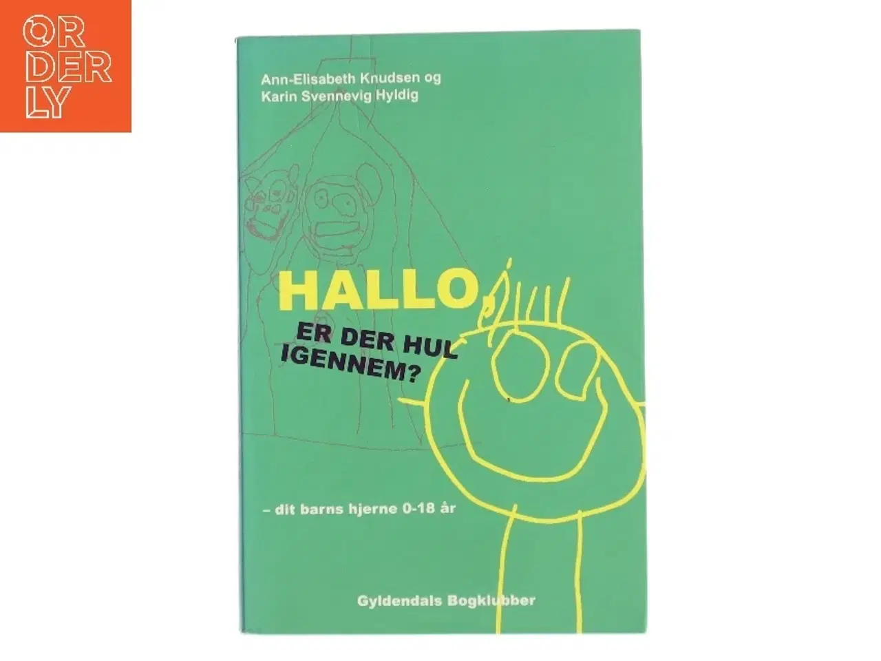 Billede 1 - Hallo - er der hul igennem? : dit barns hjerne fra 0 til 18 år (Bog)