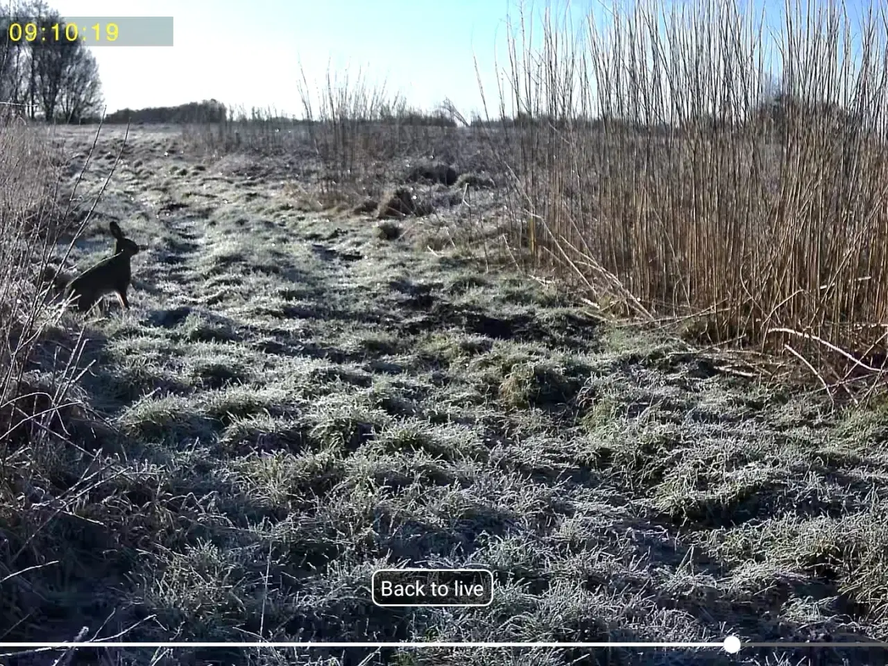 Billede 4 - Uåbnede 4G vildtkamera med solcelle