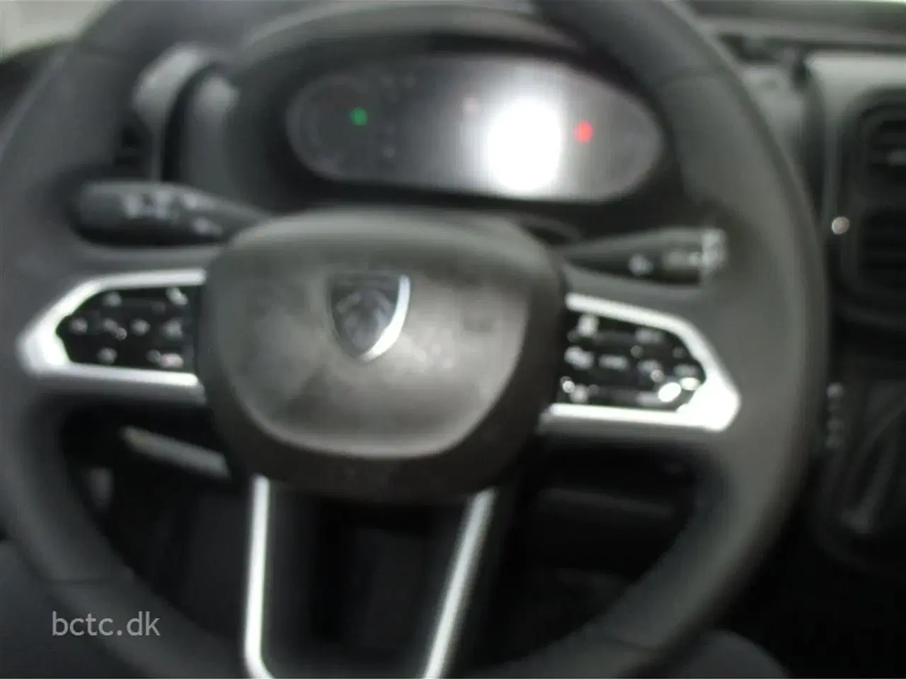 Billede 20 - 2026 - Giottiline Sienna