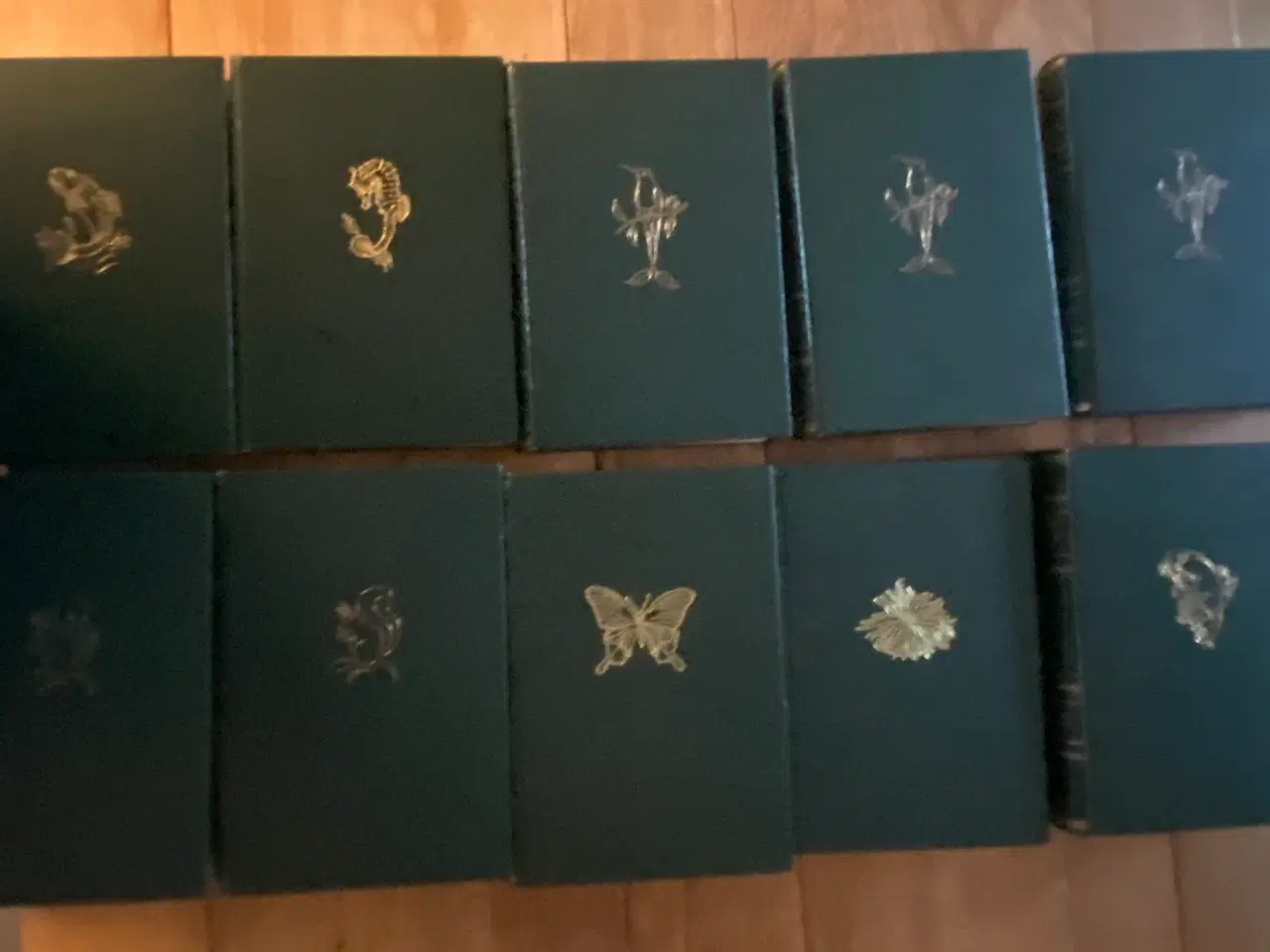 Billede 4 - Lieberkind Dyreleksikon