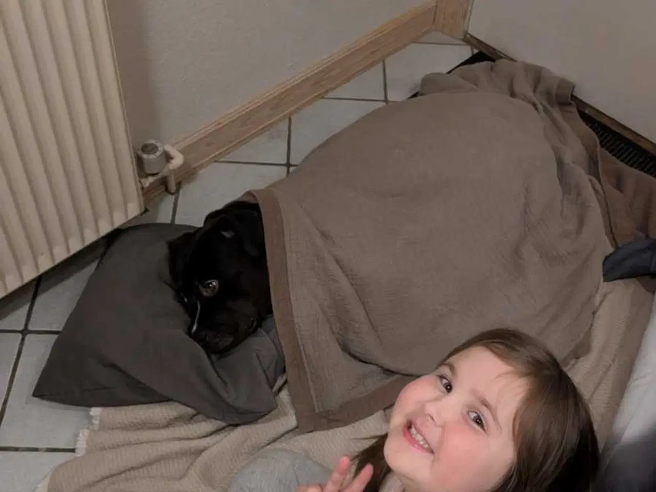 Billede 6 - Søger forever hjem 