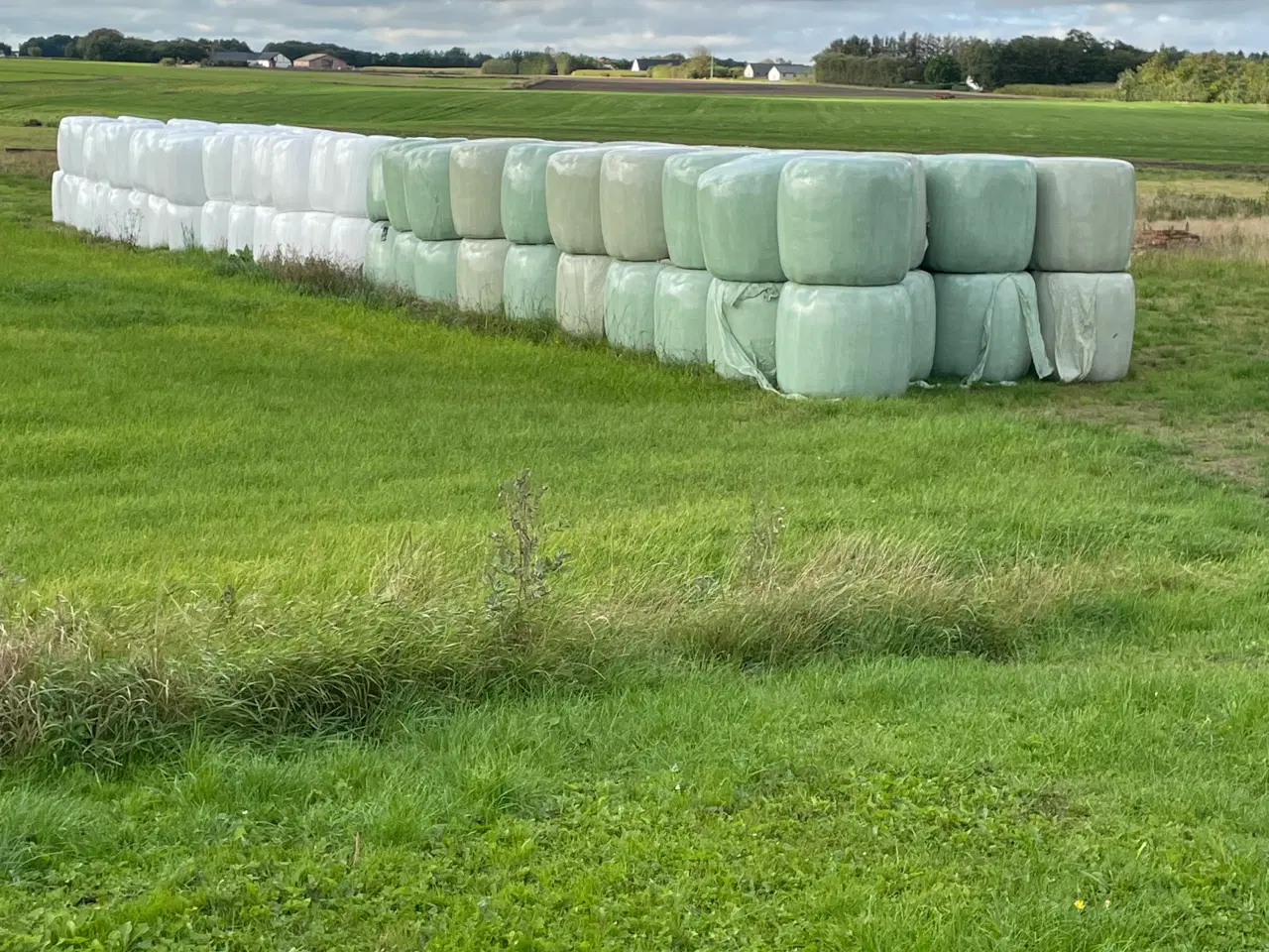 Billede 1 - Wrap hø til heste