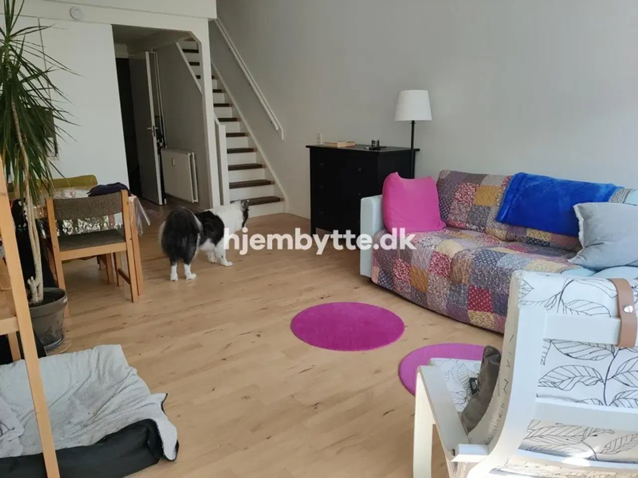 Billede 1 - Hjembytte - SvanholmVænge