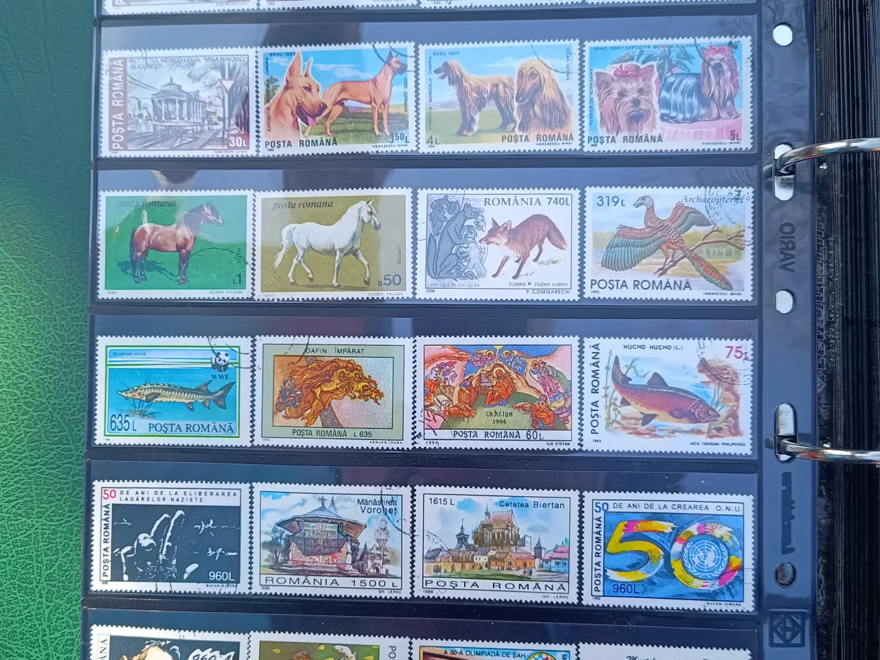 Billede 3 - Rumænien-Romania