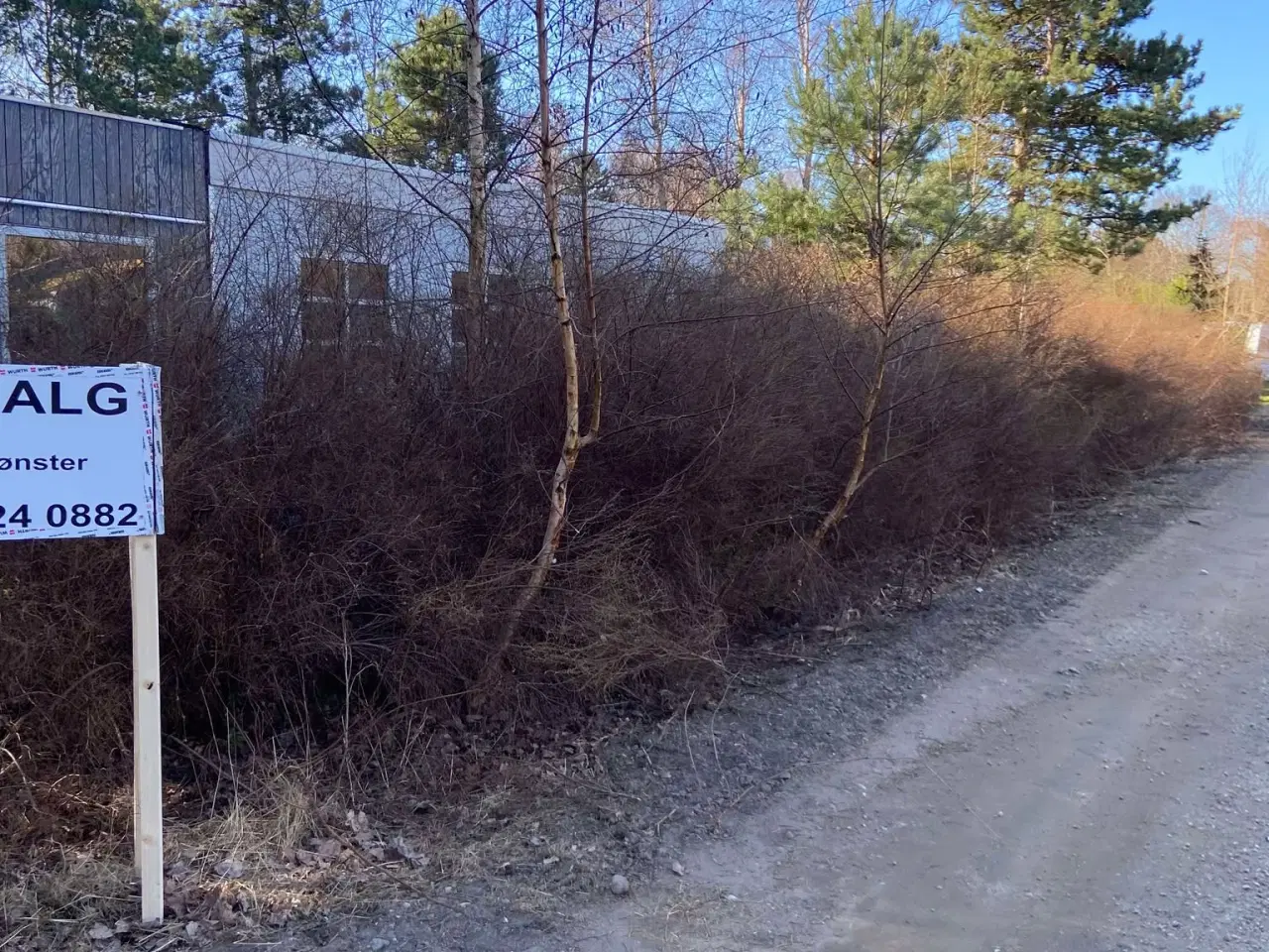 Billede 6 - Byggemoden sommerhusgrund – 1200 m² – Grøftekanten