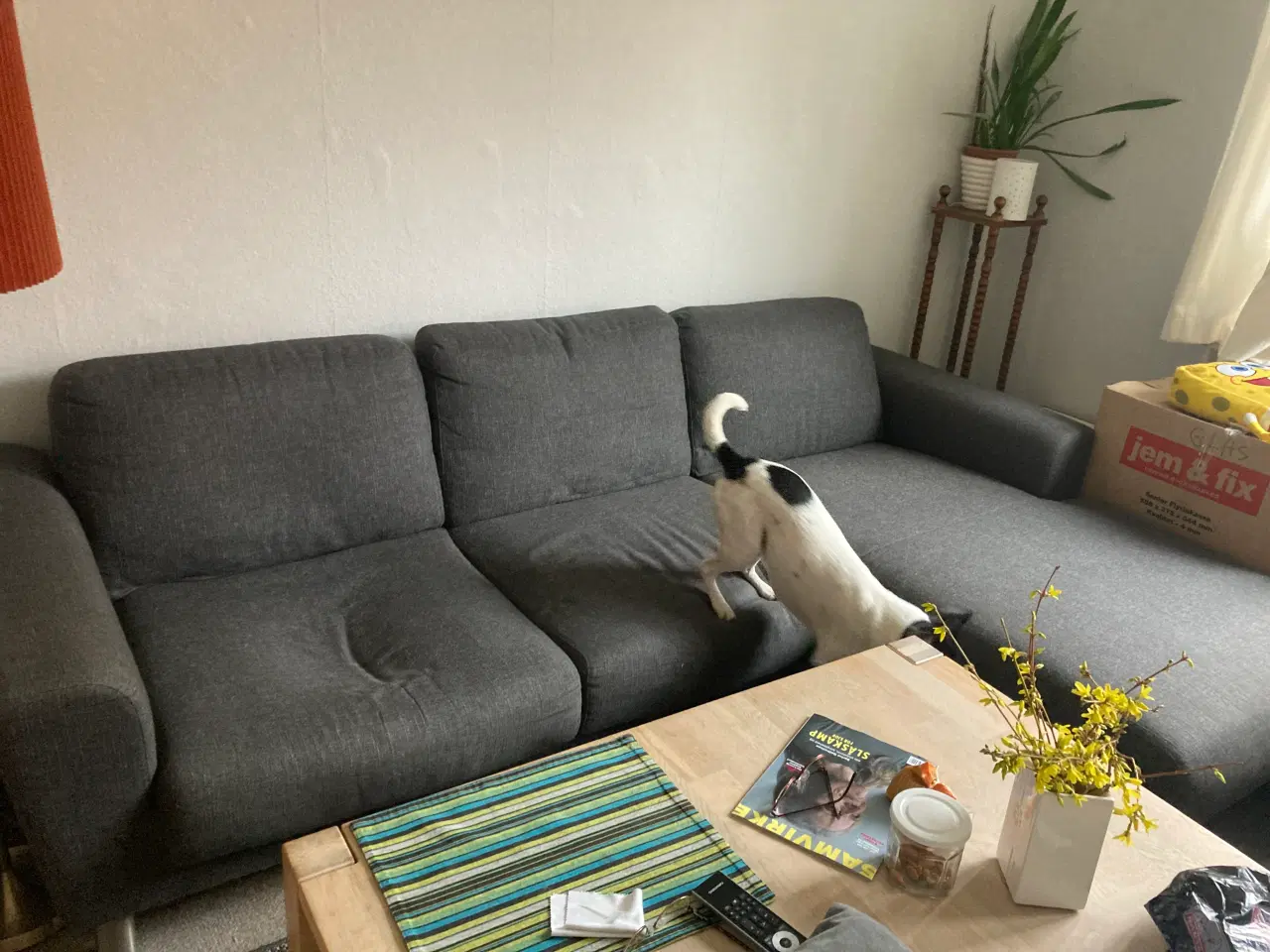 Billede 1 - Sofa med chaiselong