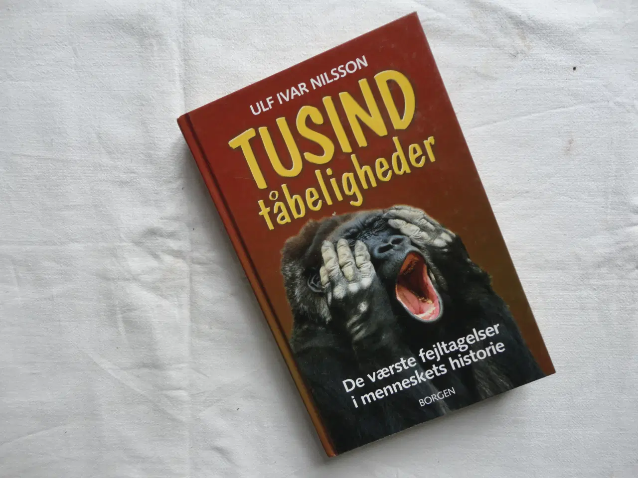 Billede 1 - Tusind tåbeligheder  :