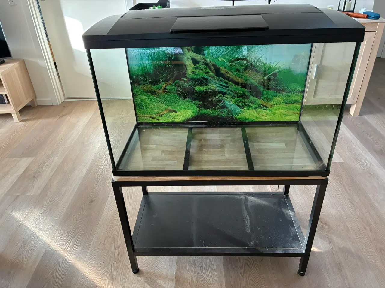 Billede 2 - Akvarie 146L med bord og plade