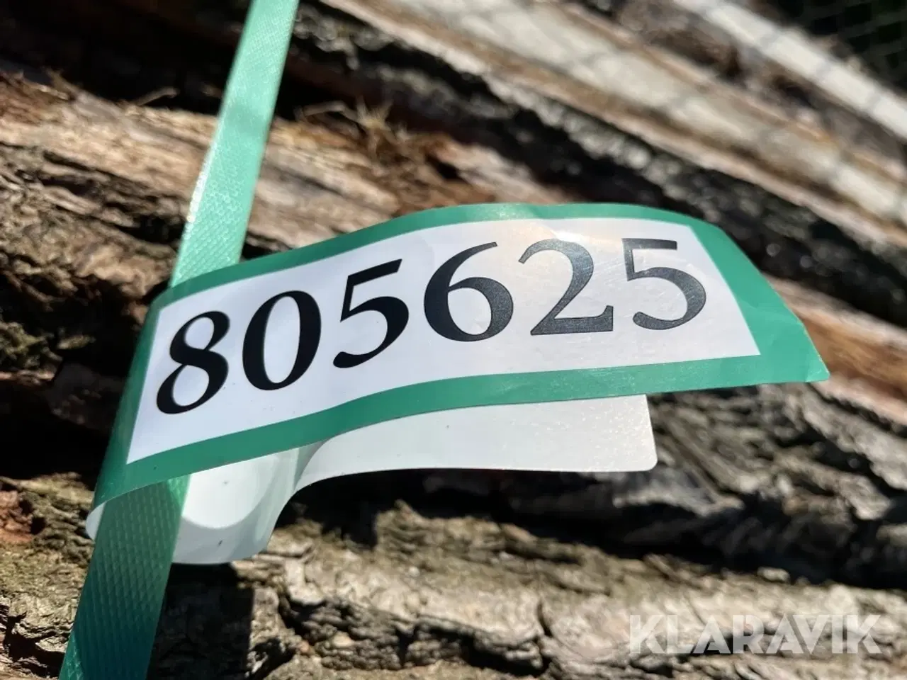 Billede 10 - Kalmarbrædder eg