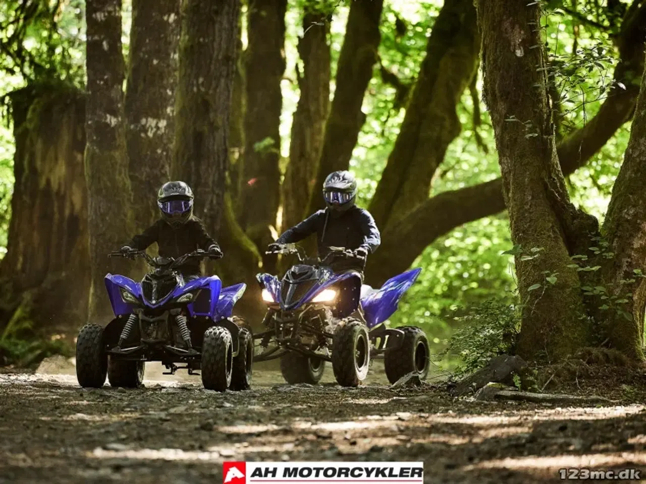 Billede 11 - Yamaha YFM 110 R Racing Blue