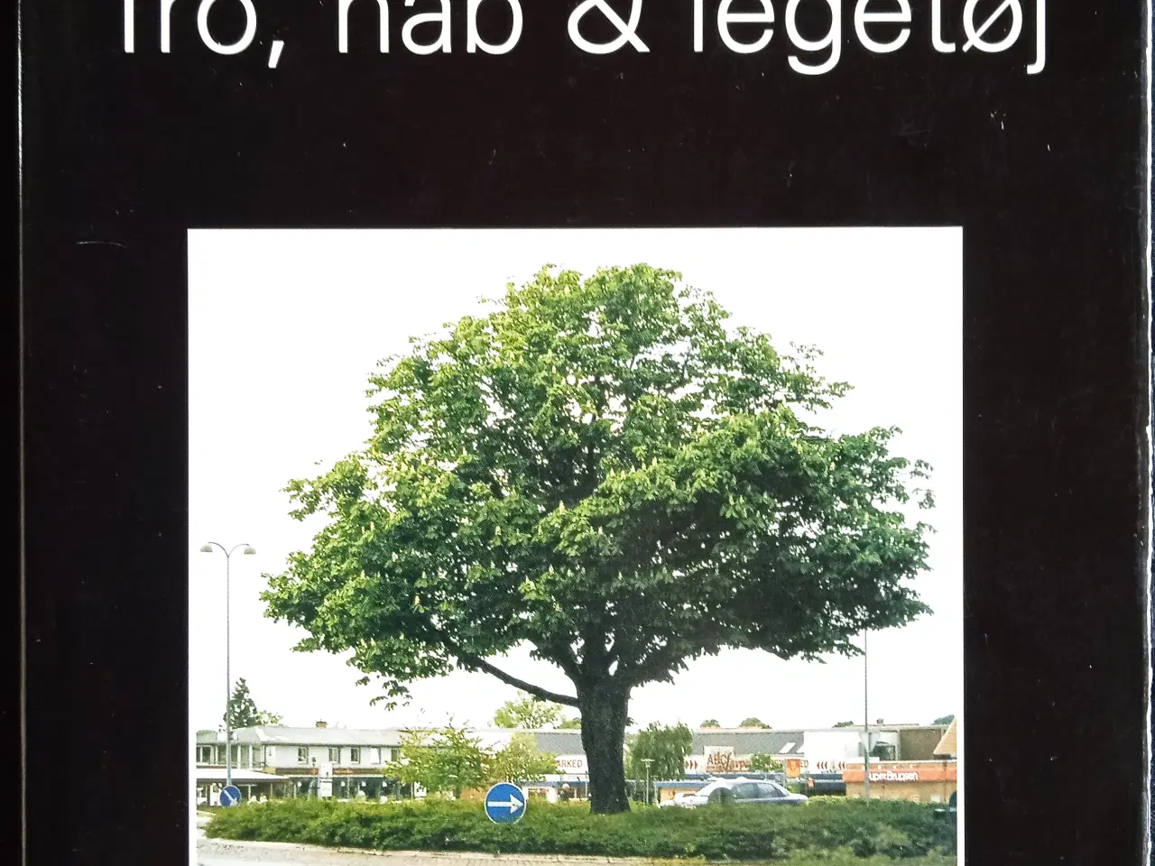 Billede 1 - Tro, håb & legetøj - Landbyfolk og industrieventyr