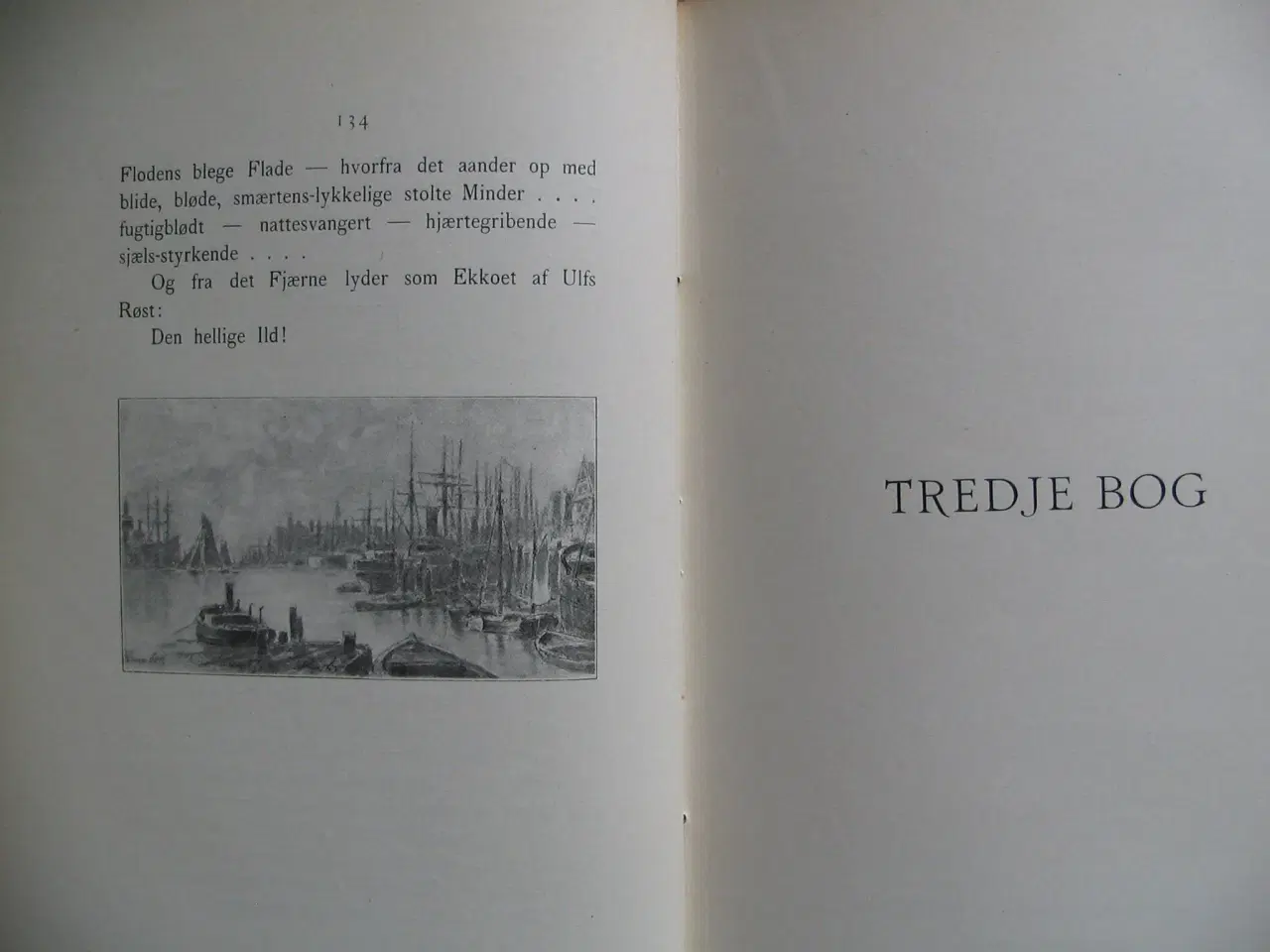 Billede 4 - Holger Drachmann. Den hellige Ild, 1899