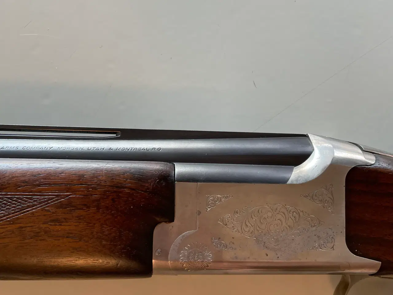 Billede 11 - Brownies Citori