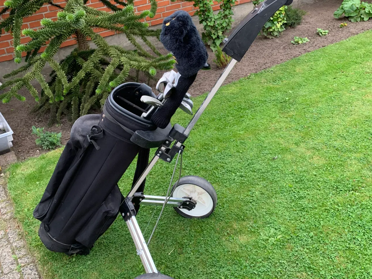 Billede 2 - Golfsæt med vogn