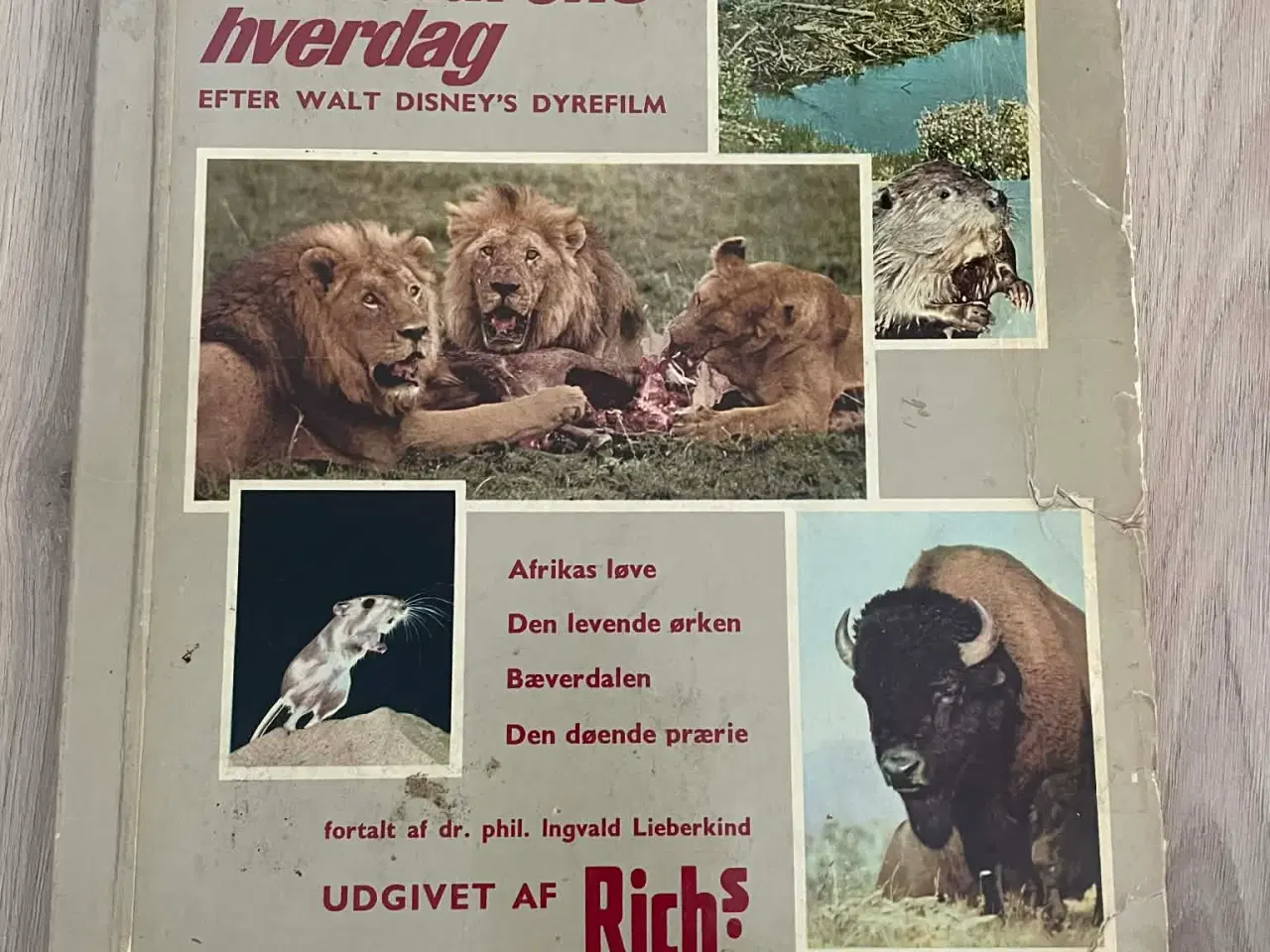 Billede 1 - Udfyldte Richs samlebøger