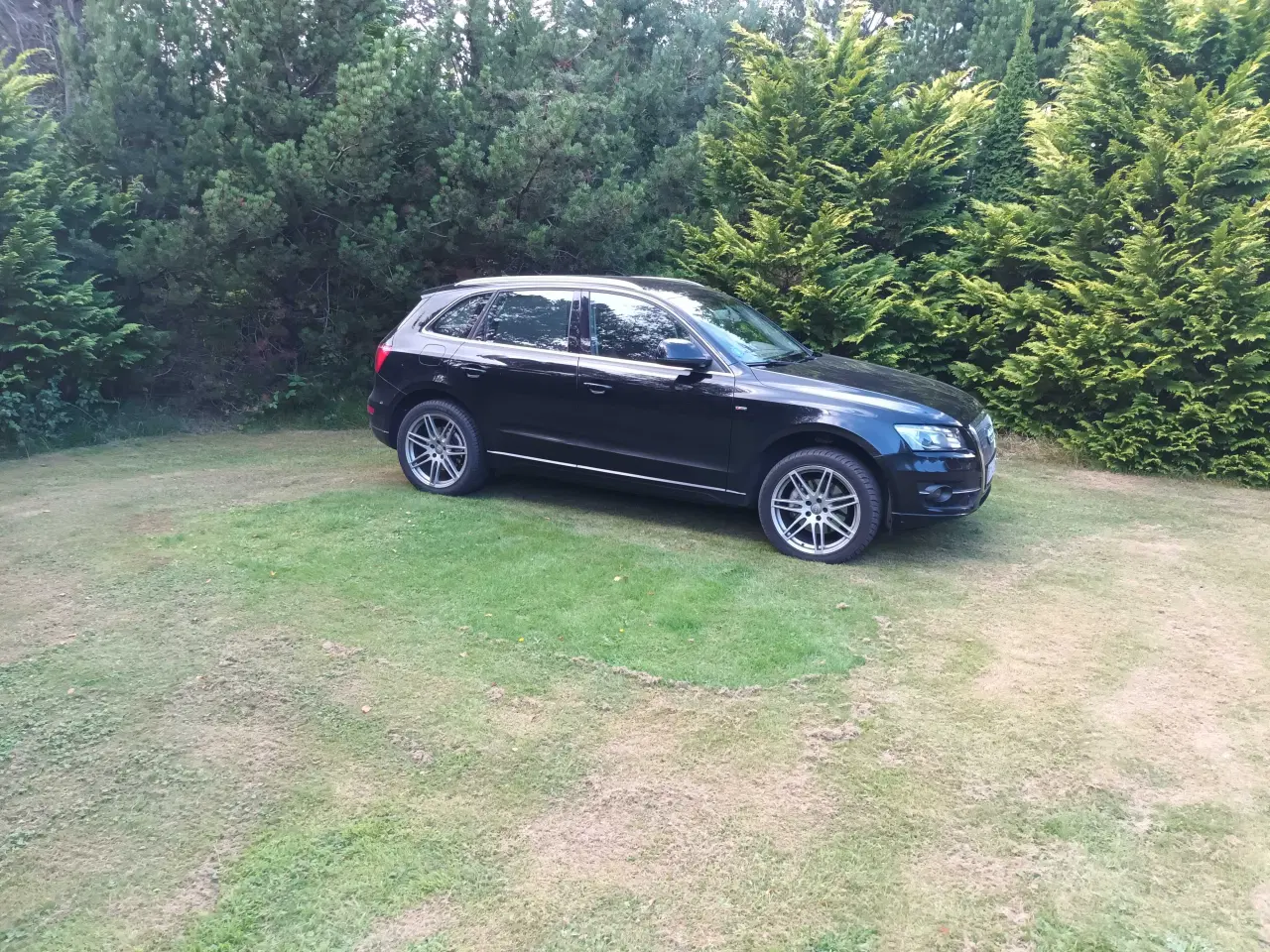 Billede 1 - Audi Q5 3.0 TDI aut. quattro (evt. bytte) 