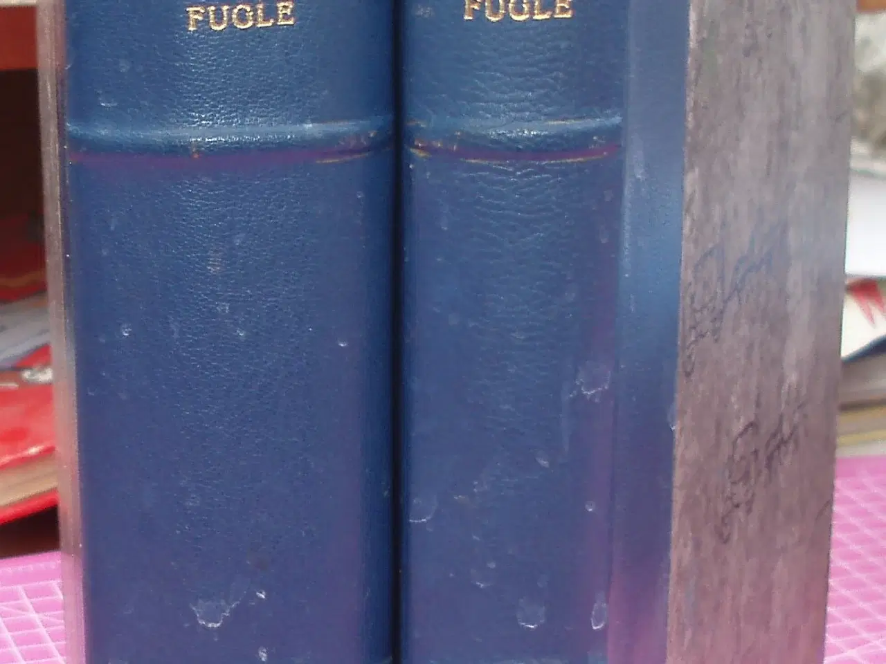 Billede 1 - Danmarks fugle i 2 bind