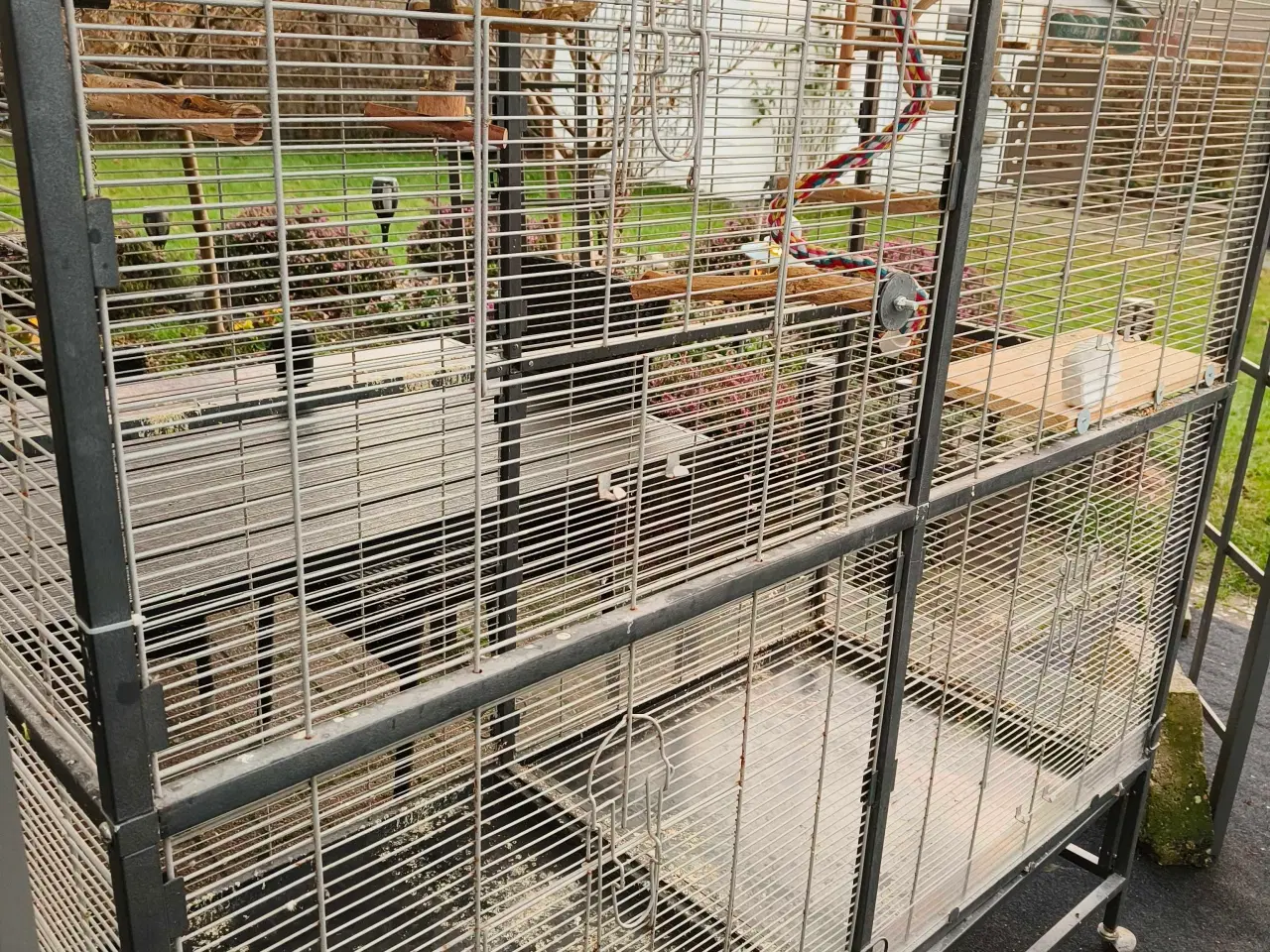 Billede 2 - Stue voliere 