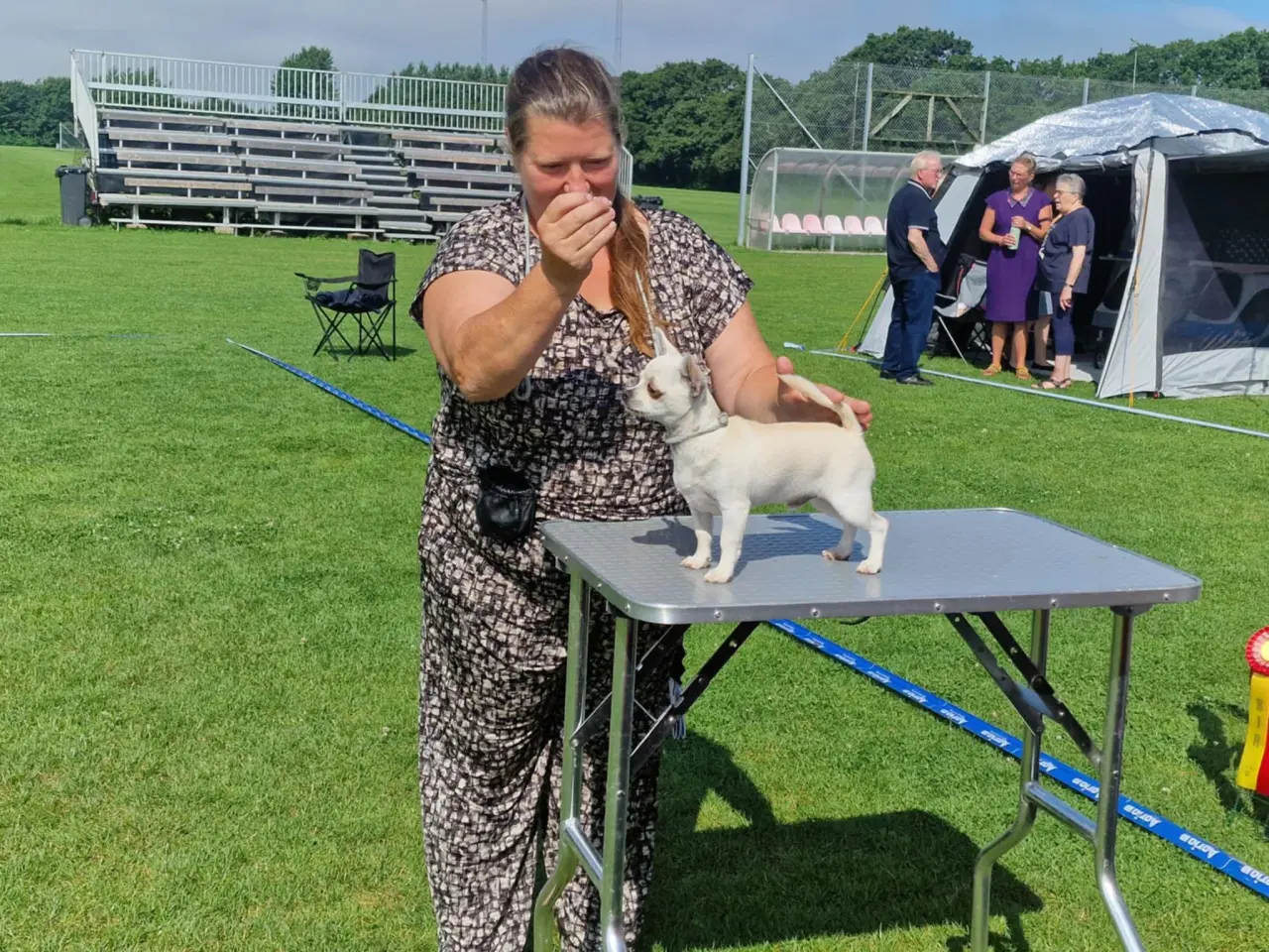 Billede 2 - Sexy and I know it