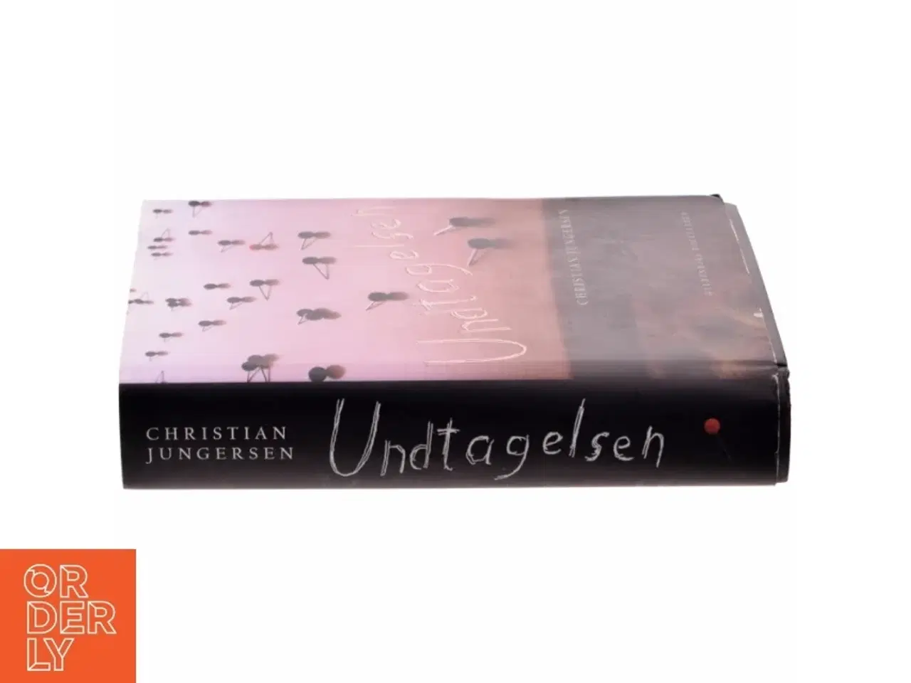 Billede 2 - Undtagelsen : roman af Christian Jungersen (Bog)