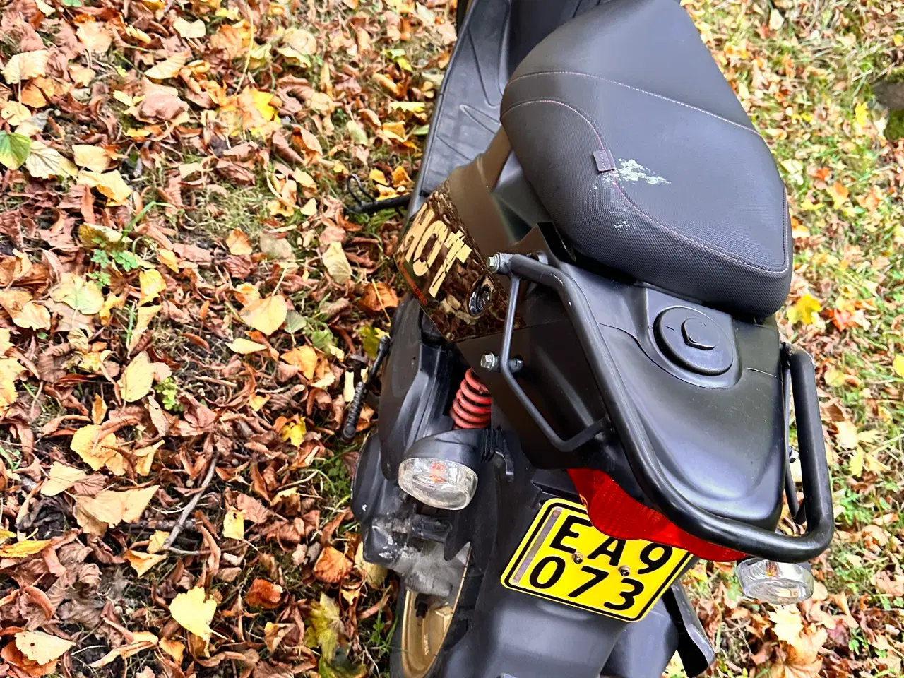 Billede 4 - Pgo hot 50 lovlig