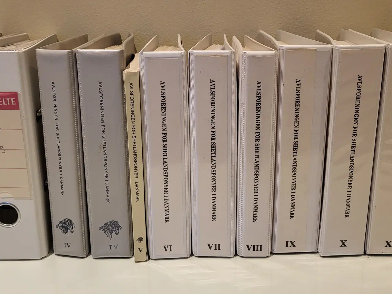 Billede 2 - Stambøger: AVLSFORENINGEN FOR SHETLANDSPONYER I DK