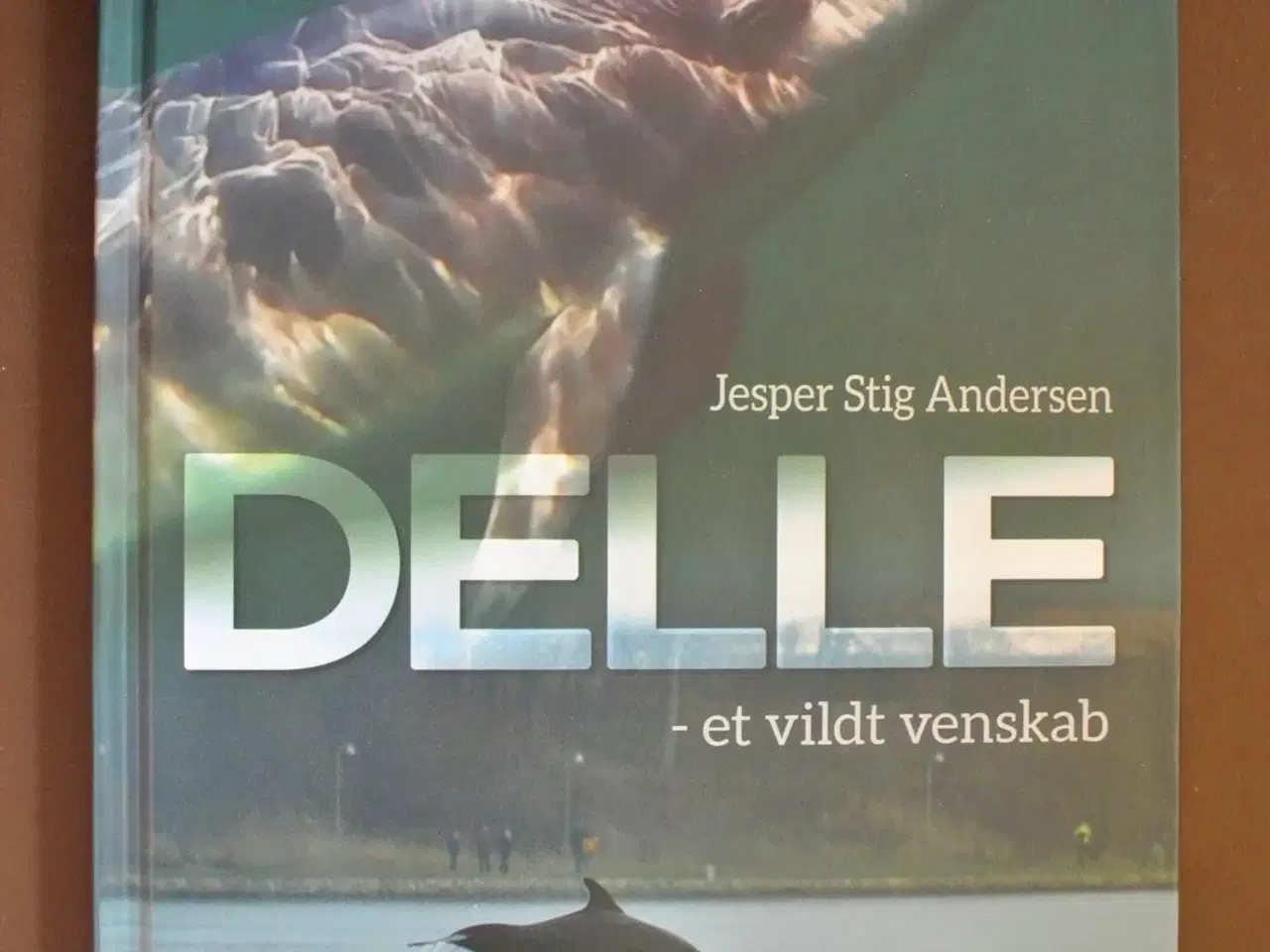 Billede 1 - delle - et vildt venskab, af jesper stig andersen,