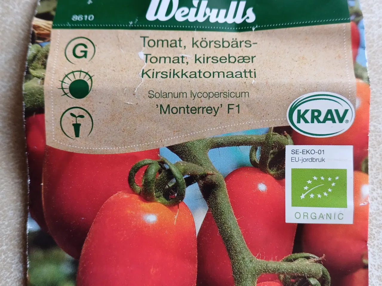 Billede 13 - Tomatplanter mange forskellige