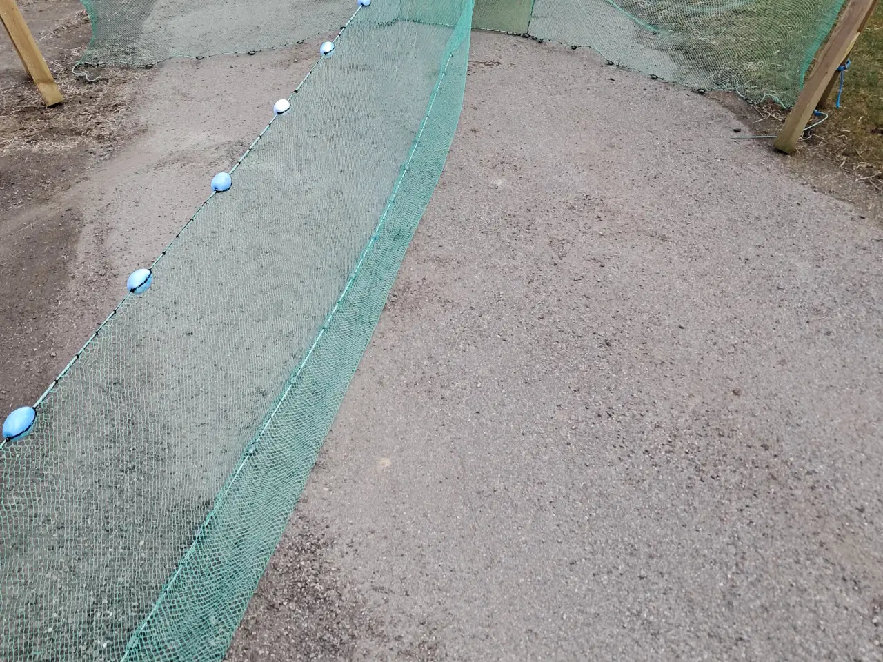 Billede 3 - Rejeruser 