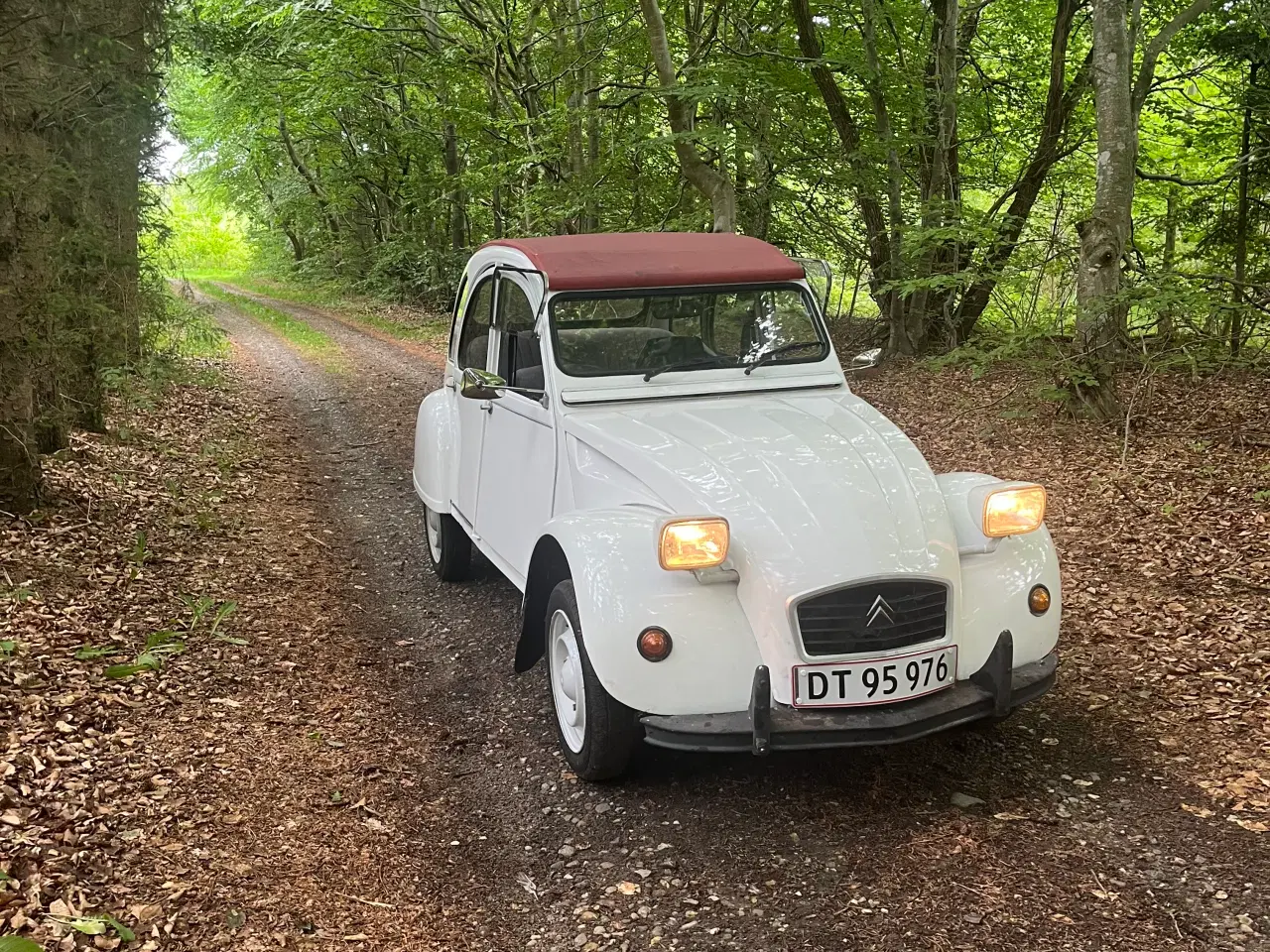 Billede 2 - Veteran 2cv bil 