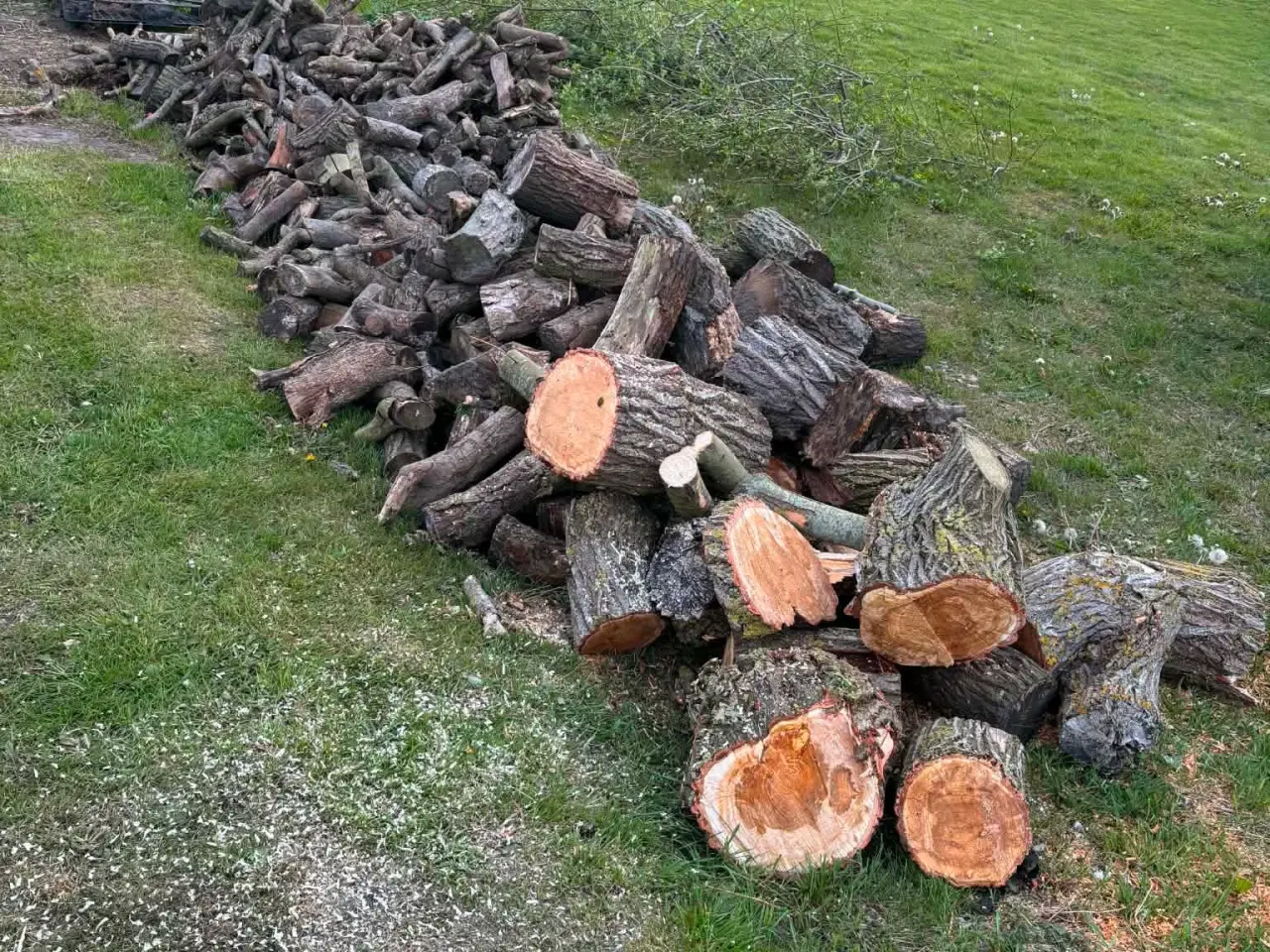Billede 1 - Brænde sælges