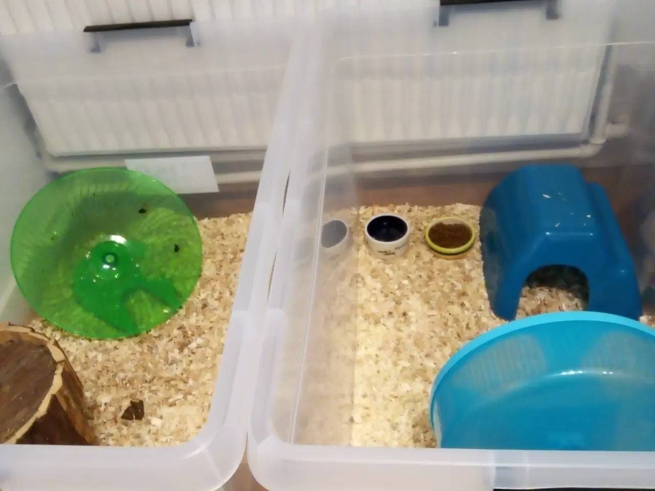 Billede 2 - 3 gode plast bure med låg