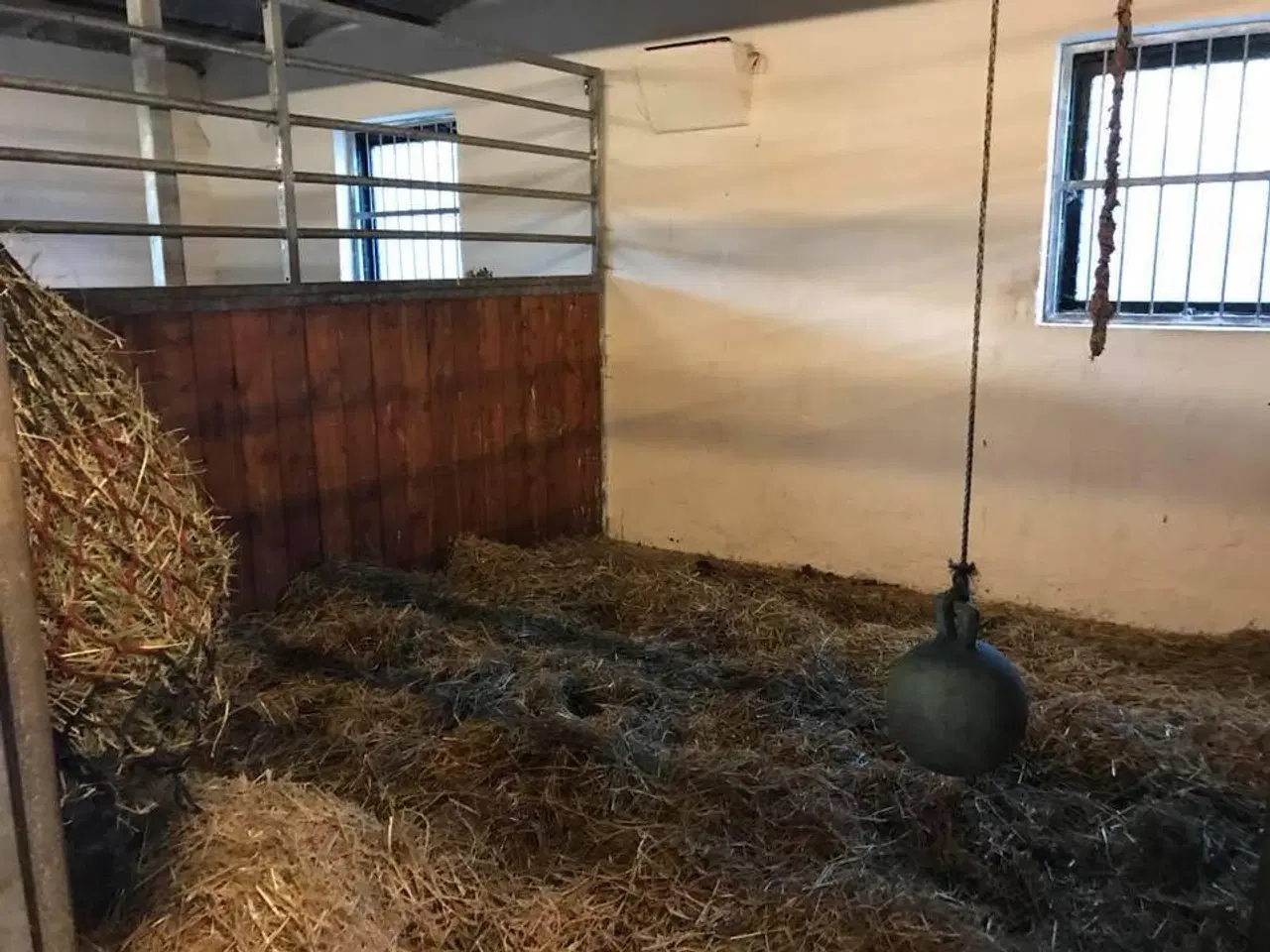 Billede 4 - Hestebokse fra Midtjyden Staldinvtar