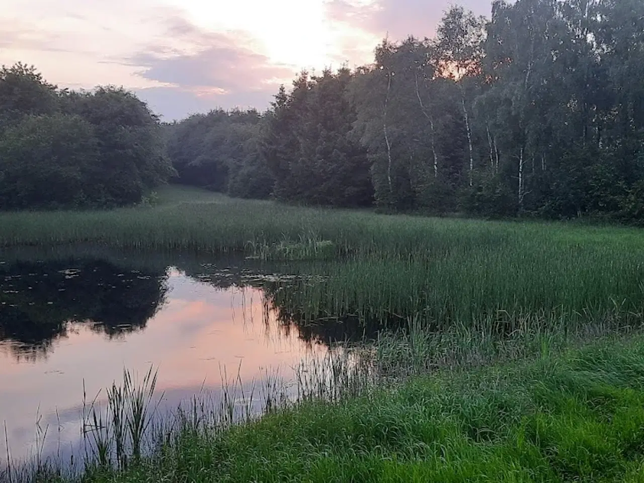 Billede 6 - Jagt ejendom på 11,2Ha, særligt natur og egen sø.