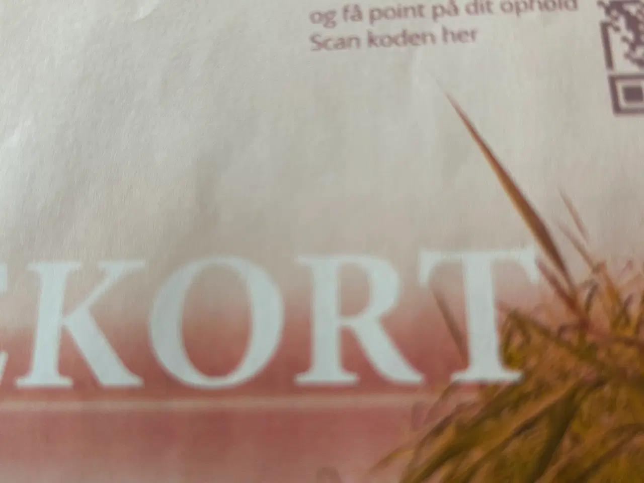 Billede 2 - Gavekort