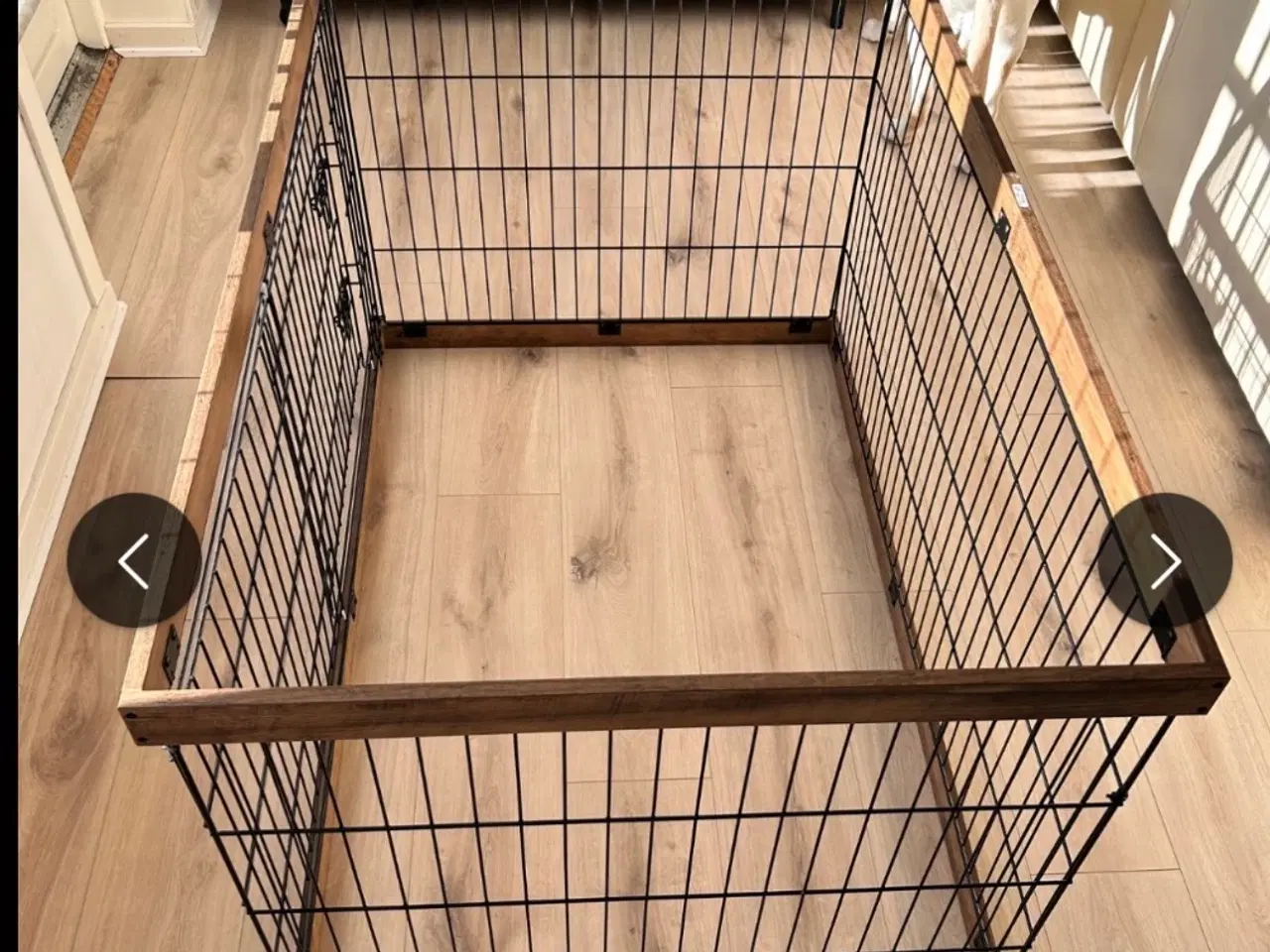 Billede 12 - Verdens sødeste kanin sælges