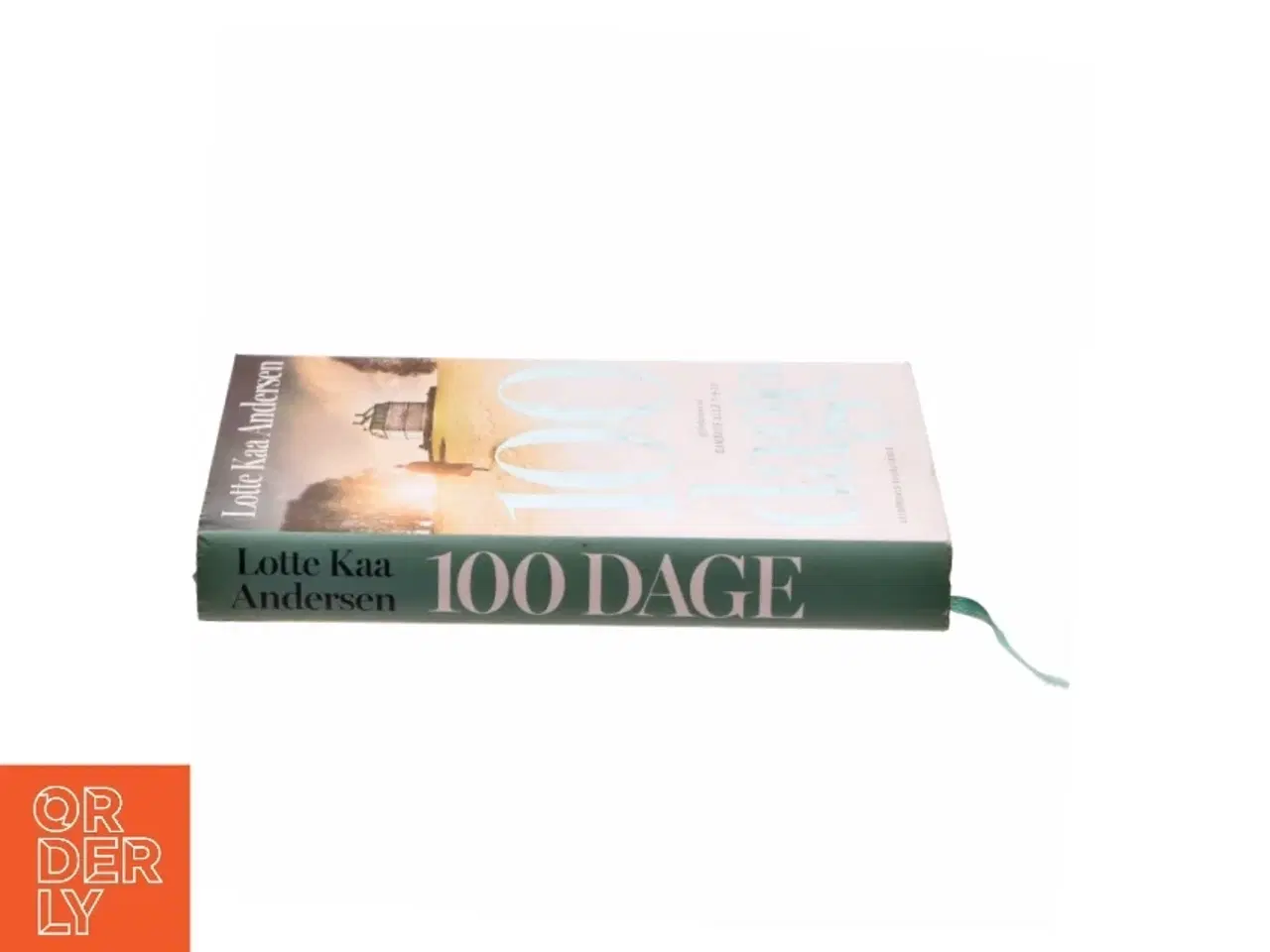 Billede 2 - 100 dage : roman af Lotte Kaa Andersen (Bog)
