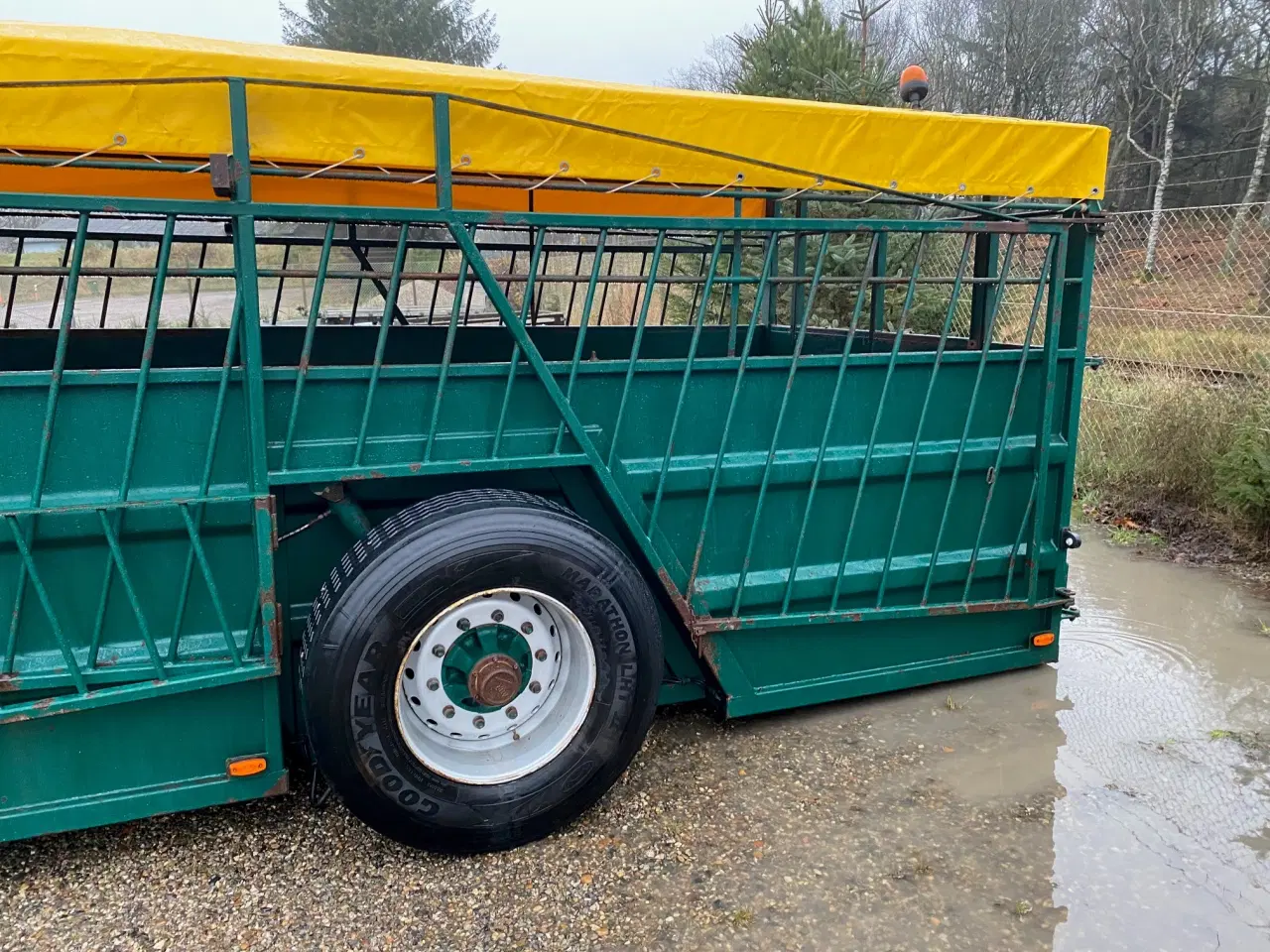 Billede 3 - Kreaturvogn 8 x 2,5m