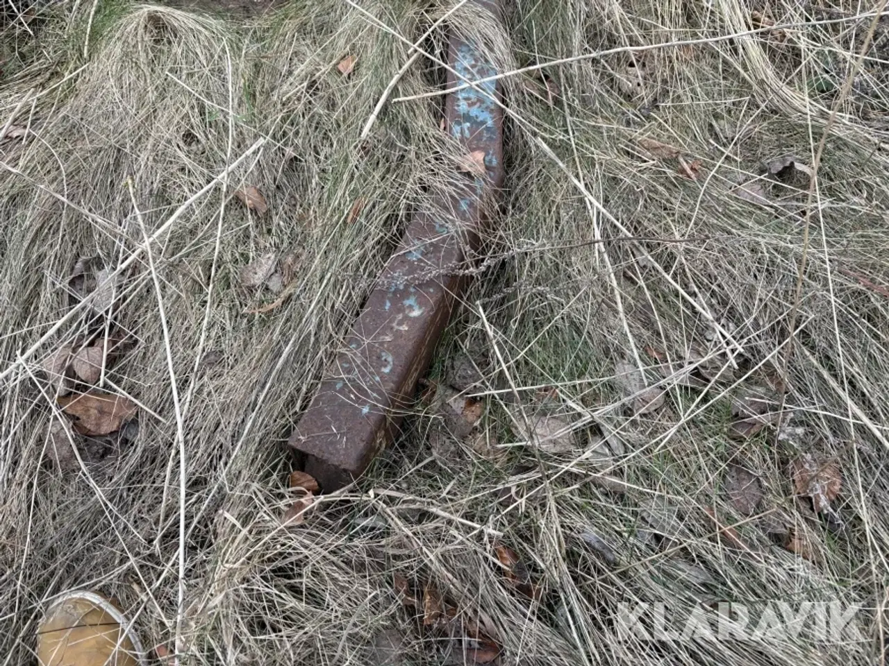 Billede 6 - Motorlift Ac Kraner