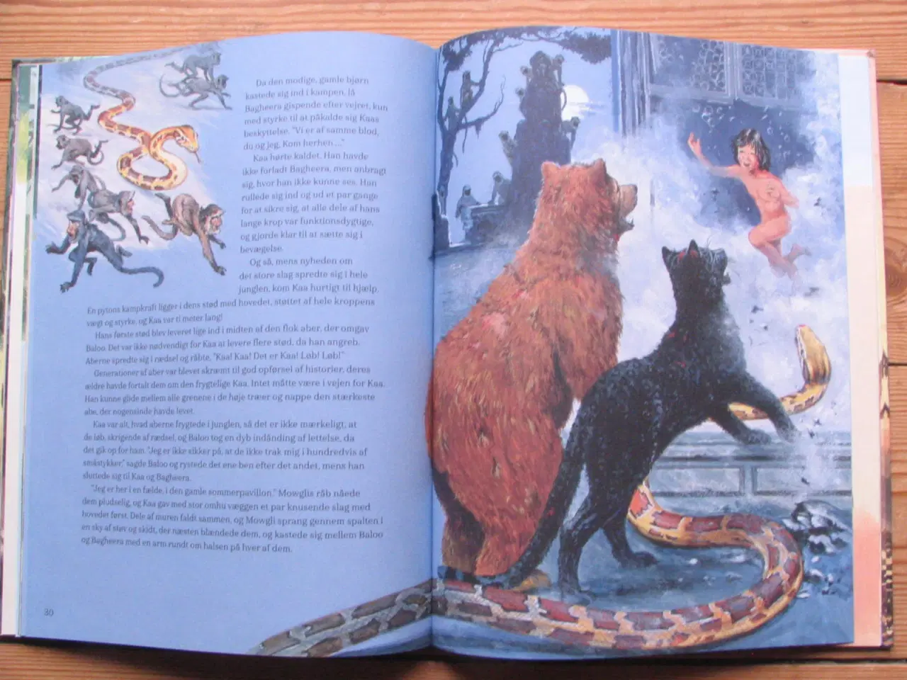 Billede 3 - 2 stk Illustrerede klassikere fra 2019