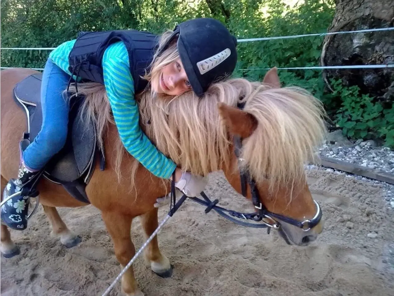 Billede 7 - Shetlænderen Betterøv